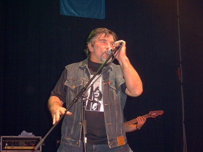 Vikidl Gyula
